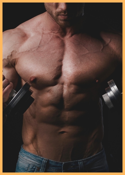 Muscle Growth