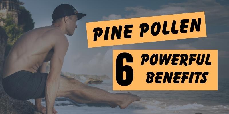 Pine Pollen Benefits